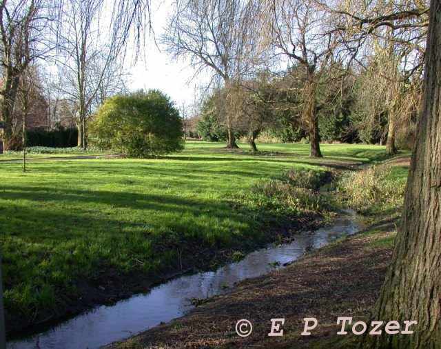 The River Loddon at Gelbe Gardens, image  E.P.Tozer